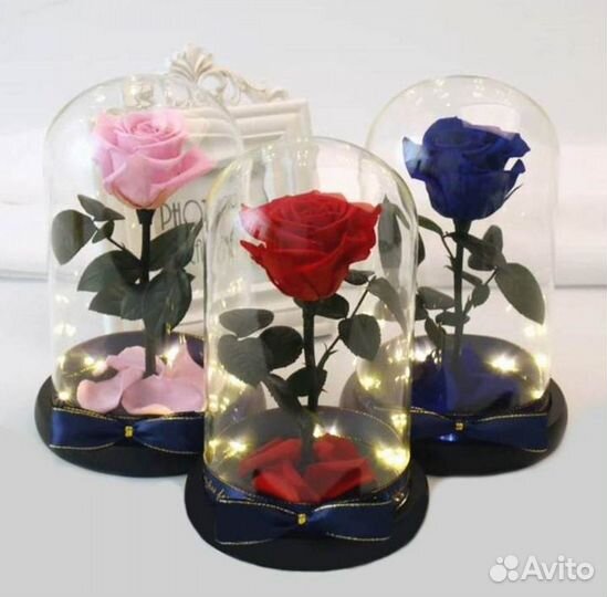 Роза в колбе. С гарантией