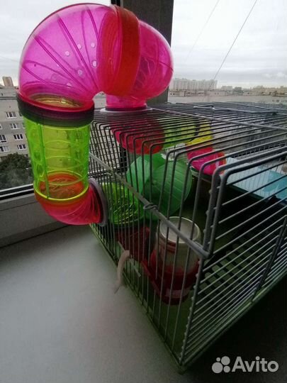 Клетка для хомяков