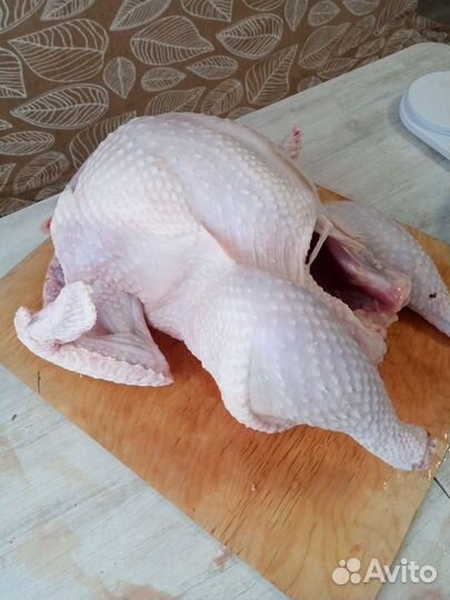 Мясо индейки