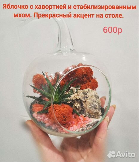 Флорариум мини