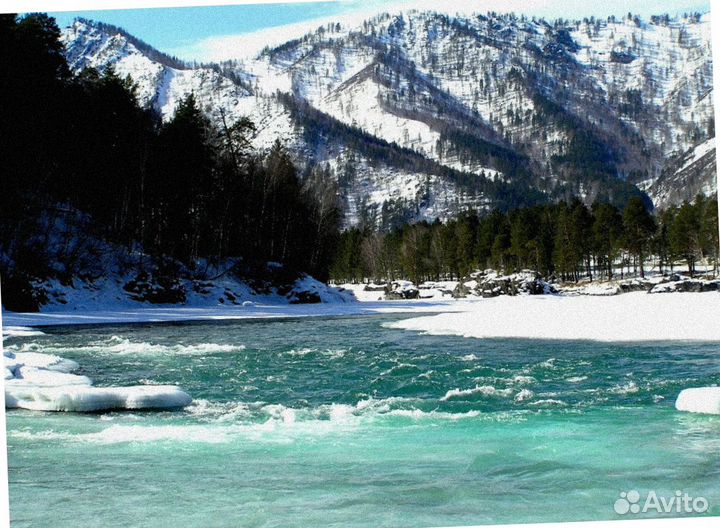 Путевка на Алтай зимой экскурсия до 7 дн