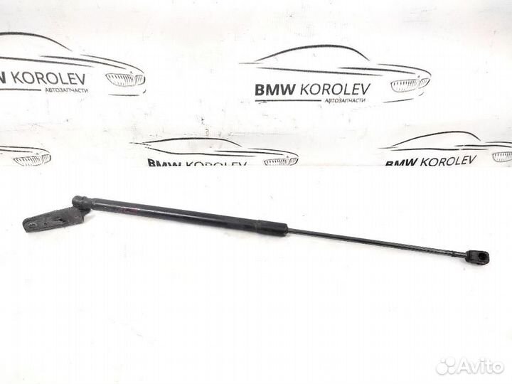 Амортизатор крышки багажника Focus III (2011-2019)