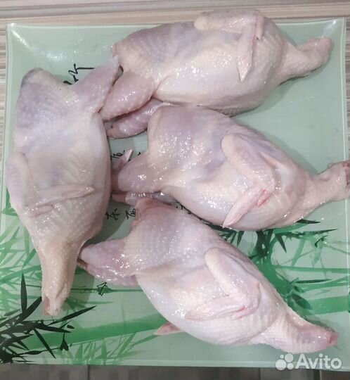 Яйца перепелиные, перепел (тушки)