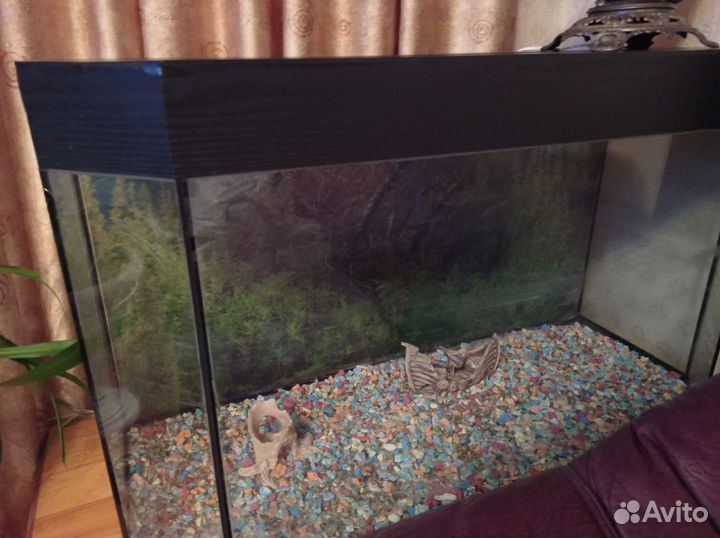 Большой Аквариум