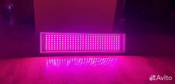 Фитолампа LDP-240Y3X уски