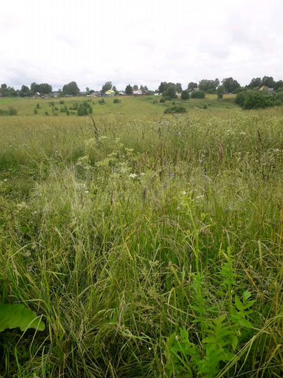 Участок 18,5 сот. (ИЖС)