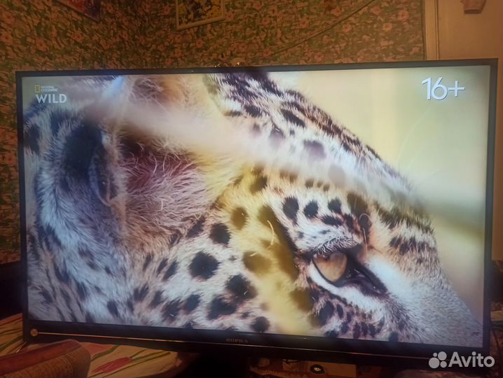 Телевизор Supra STV-LC55ST4000U 55 дюймов Smart TV