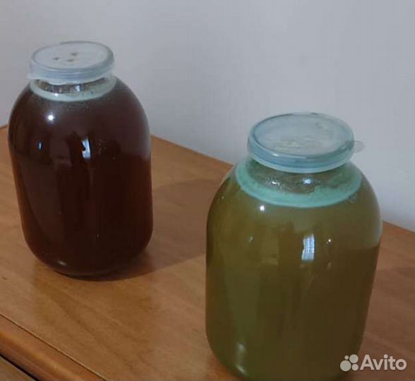 Мед алтайский