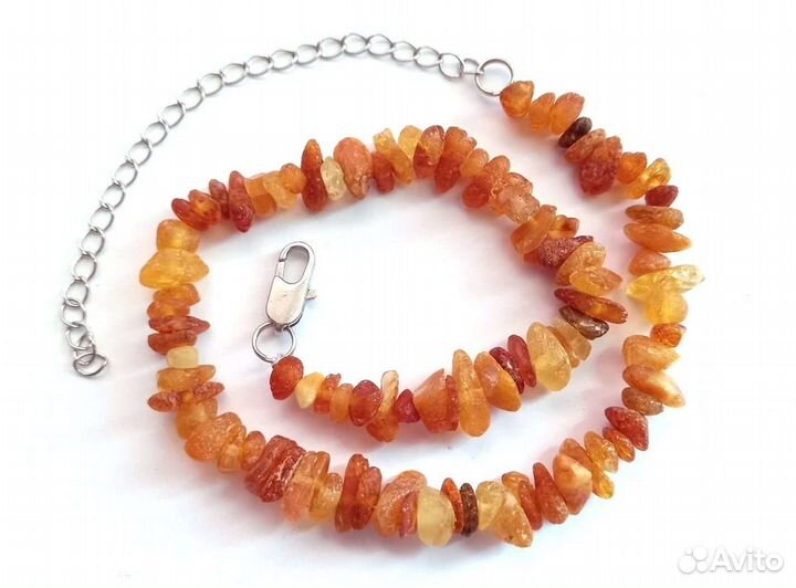 Ошейник от блох и клещей