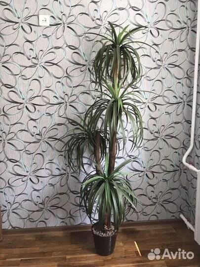 Пальма искусственная в горшке