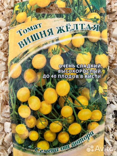 Рассада помидор