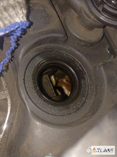 Двигатель nissan pulsar