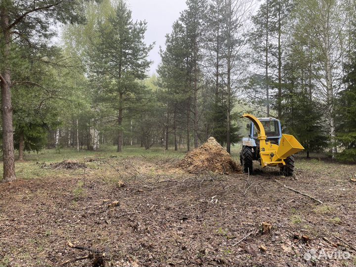 Измельчитель (Дробилка) веток Аренда