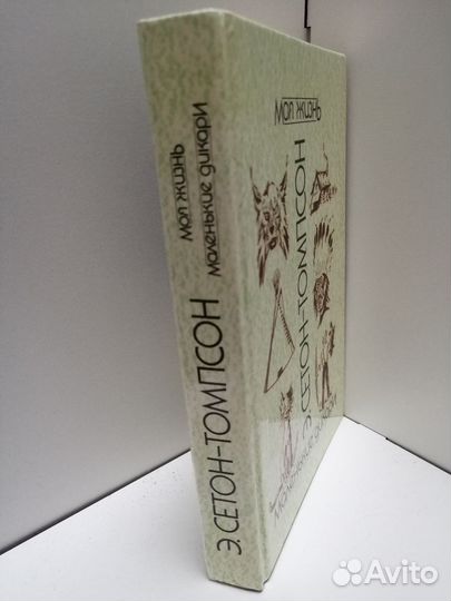 Э. Сетон-Томпсон. Моя жизнь, Маленькие дикари