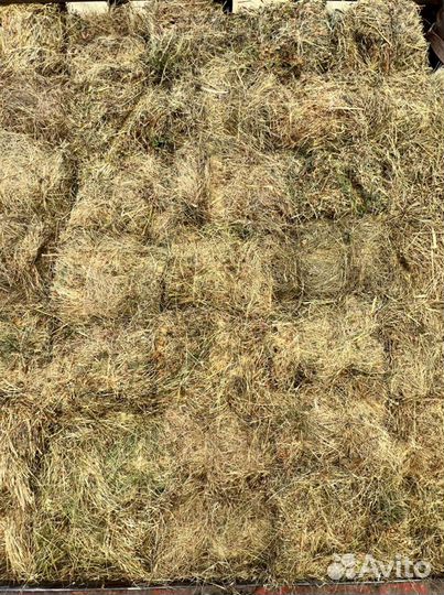 Сено,стружка, опил