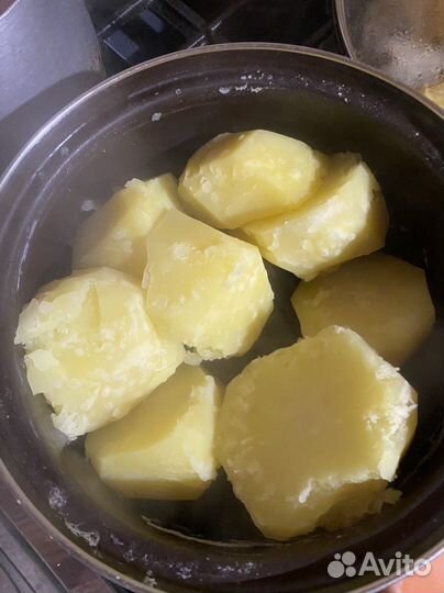 Продам картофель