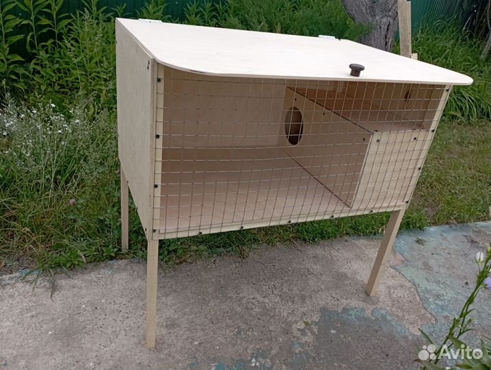 Клетка