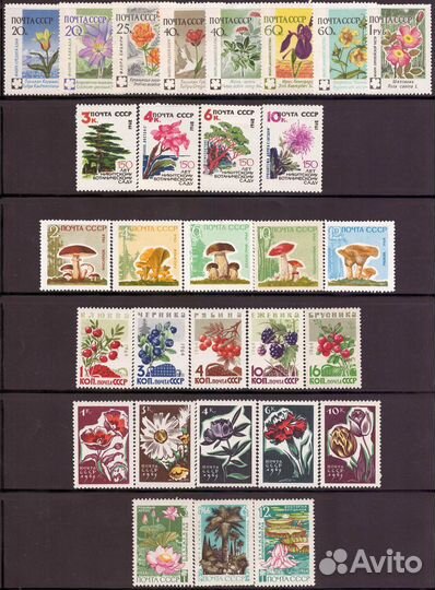 Марки почтовые чистые Флора Растения Цветы Ягоды