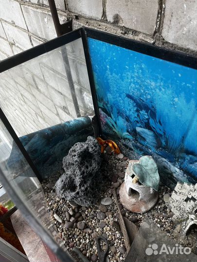 Аквариум