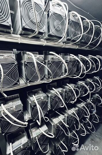 Хостинг для asic / майнинг отель / крипто ферма