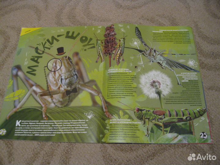 Журнал о животных