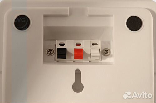 Настенная колонка CVGaudio WPA10T 100 вольт