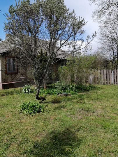 Дом 50 м² на участке 15 сот.