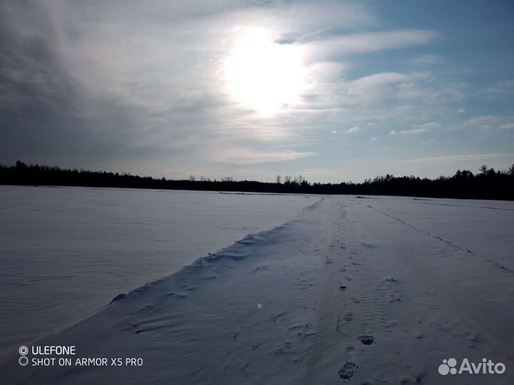 Выживание в дикой природе;)