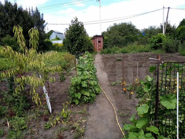 Дача 20 м² на участке 5 сот.