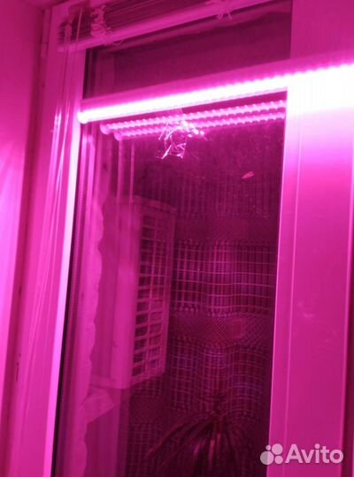 Фитолампа для растений и рассады