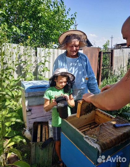 Натуральный мед 2023