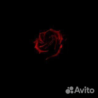 Энн Райс - Вампир Лестат (обмен)