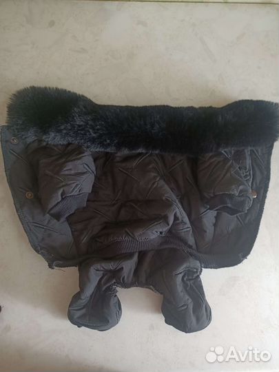 Одежда для маленьких собак