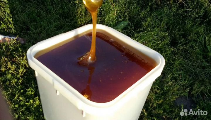 Мед липовый оптом