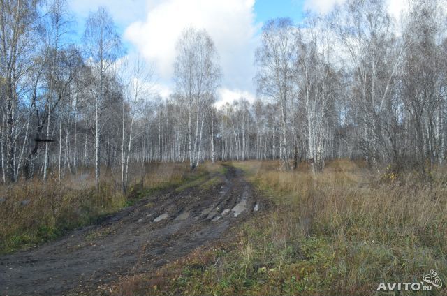 Участок 106 га (СНТ, ДНП)