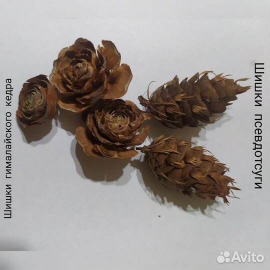 Набор природных материалов