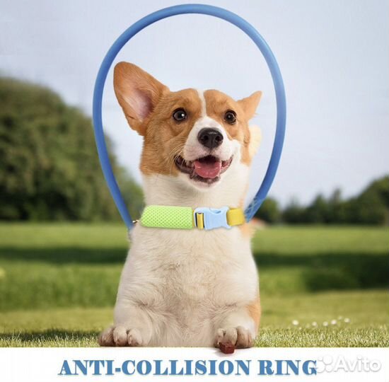 Ошейник для ослепших собак