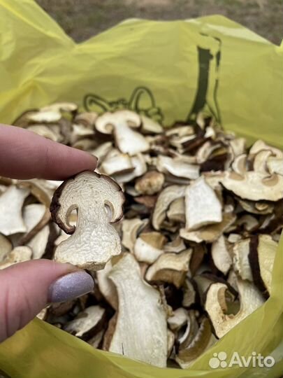 Сухой белый гриб