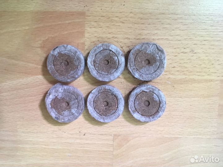 Бонсайница, таблетки торфян, галька (грунт)