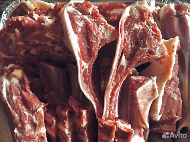 Мясо баранина халяль