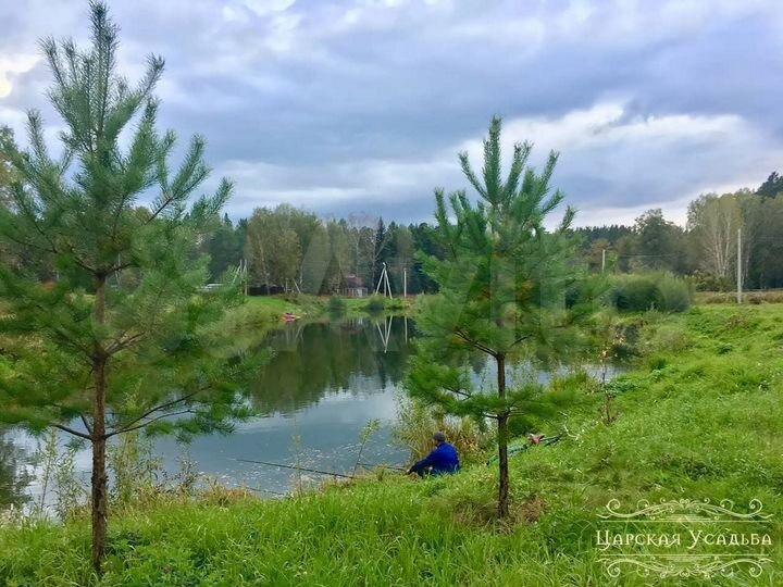 Участок 12 сот. (СНТ, ДНП)