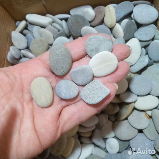 Плоские камни галька с пляжа