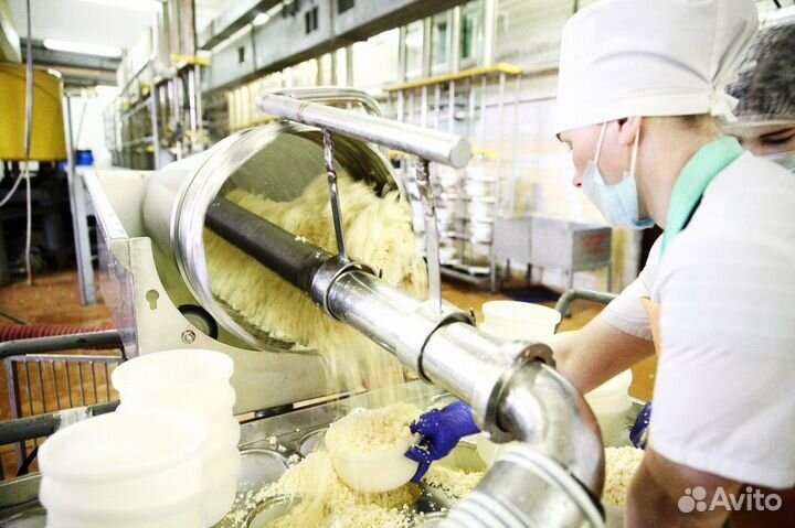 Разнорабочие оплата ежедневно (маслозавод)