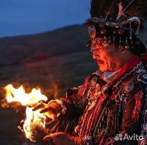 Чай пуэр « Космос шаманов » шмн14364