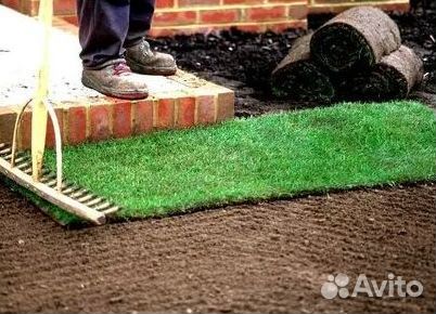 Укладка газона