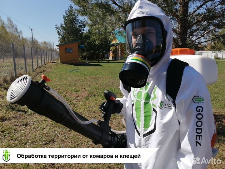 Уничтожение тараканов клопов насекомых грызунов