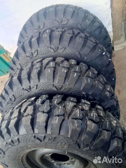 Шины форвард сафари 510