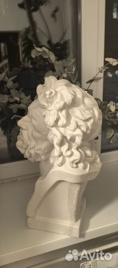 Гипсовая голова Лаокаоона