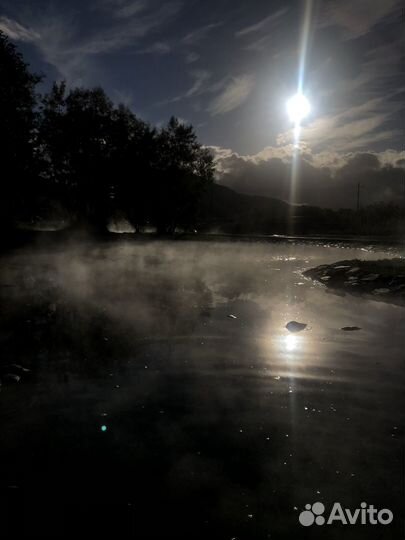 Аренда авто с водителем