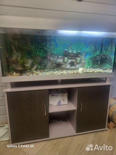 Аквариум с тумбой rehau 270 литров